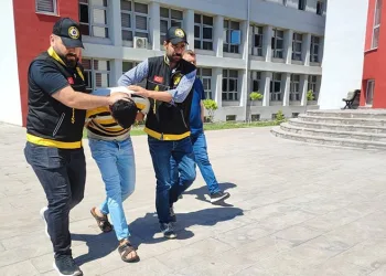 Manavgat’ta kamyonet ile otomobil çarpıştı: 2 yaralı