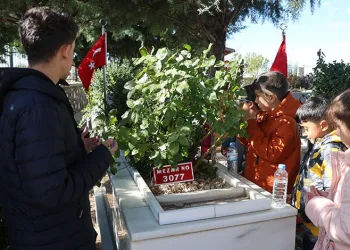 Adana’da zirveye kar yağdı, elma hasadı erken yapıldı