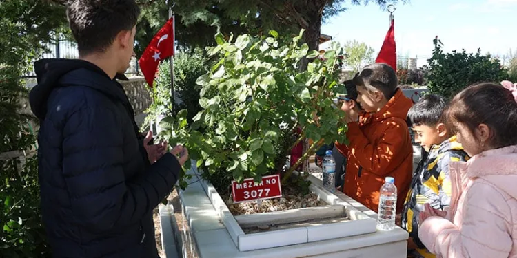 Adana’da zirveye kar yağdı, elma hasadı erken yapıldı