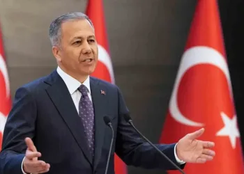 Balık tezgahlarında son 3-4 senenin en bol palamut sezonu yaşanıyor