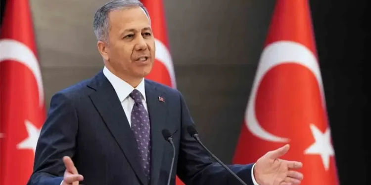 Balık tezgahlarında son 3-4 senenin en bol palamut sezonu yaşanıyor