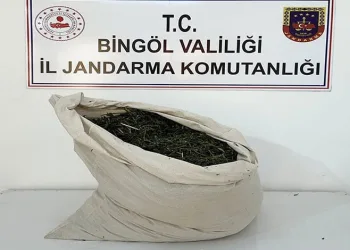 7 şüpheli gözaltına alındı