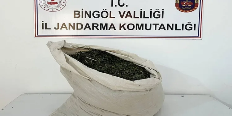 7 şüpheli gözaltına alındı