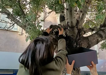 “Fetullah Gülen Amerikan ajanıydı”