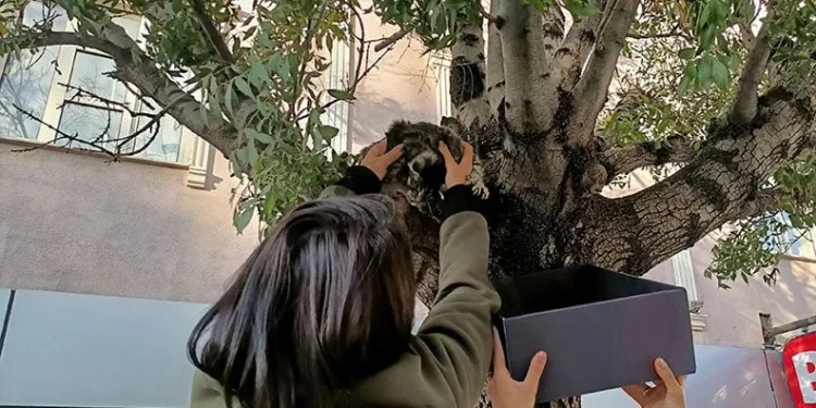 “Fetullah Gülen Amerikan ajanıydı”