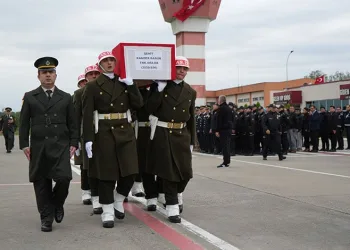Çiftçinin zeytinine jandarma koruması