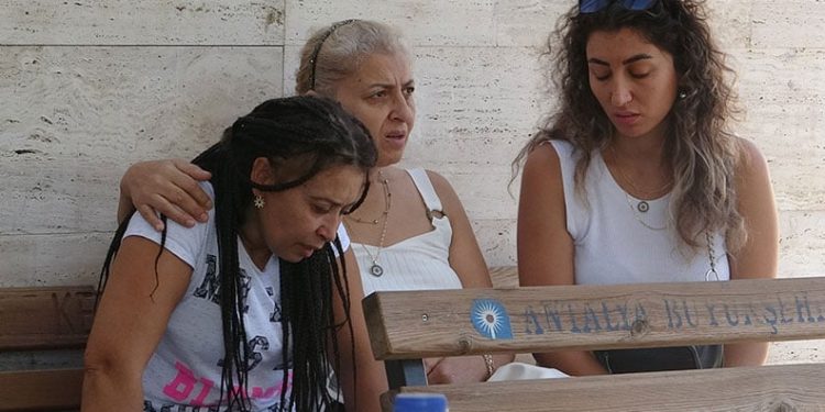 Tır refüje düştü, patatesler yola saçıldı: 1 yaralı