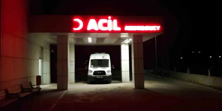 Uyuşturucu tacirleri ‘Mia’nın burnuna takıldı