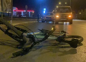 Uyuşturucu tacirleri ‘Mia’nın burnuna takıldı