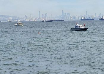 Tır refüje düştü, patatesler yola saçıldı: 1 yaralı