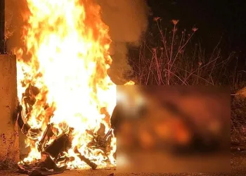 Bingöl’de 4,5 kilo esrar ele geçirildi