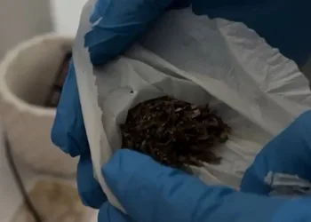 Samsun’da apartman dairesinde yangın