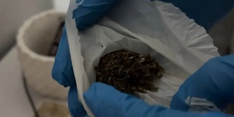 Samsun’da apartman dairesinde yangın