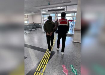 Edirne’de çiftlik yangını: Tavuklar ve arılar telef oldu