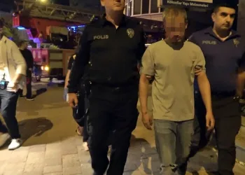 Çiftçinin zeytinine jandarma koruması