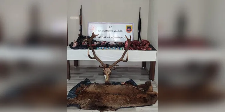 Edirne polisinden gece denetimi