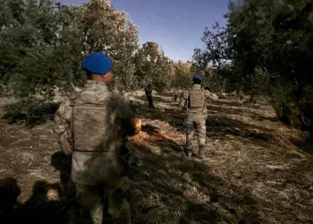 Çiftçinin zeytinine jandarma koruması