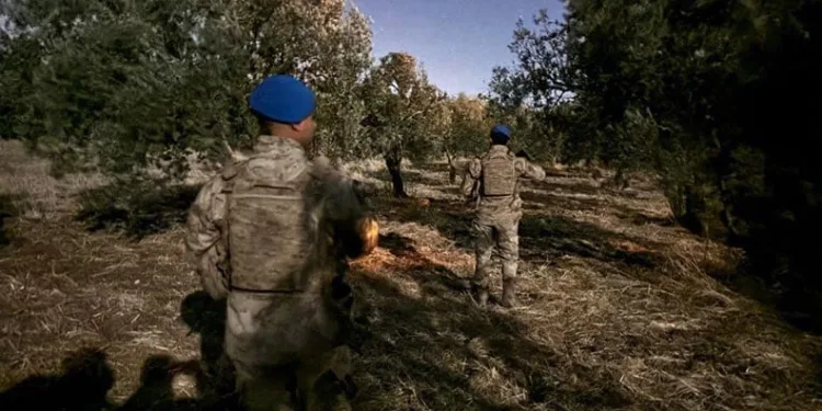 Çiftçinin zeytinine jandarma koruması