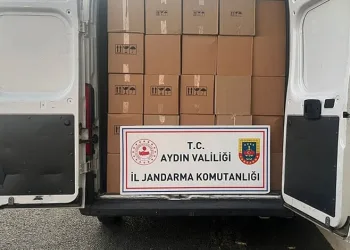 Manavgat’ta kamyonet ile otomobil çarpıştı: 2 yaralı