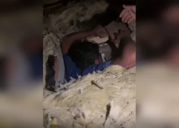 Tırın içine zulalanmış 730 gram narkotik madde ele geçirildi