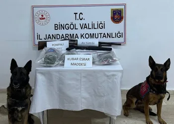 Mersin Bozyazı’da orman yangını büyümeden söndürüldü