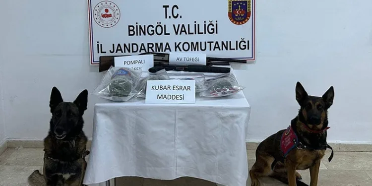 Mersin Bozyazı’da orman yangını büyümeden söndürüldü