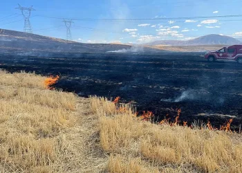 Uyuşturucu tacirleri ‘Mia’nın burnuna takıldı