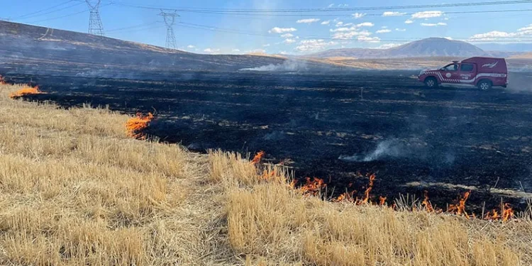 Uyuşturucu tacirleri ‘Mia’nın burnuna takıldı