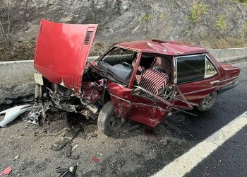 Edirne’de çiftlik yangını: Tavuklar ve arılar telef oldu