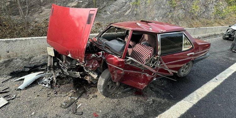 Edirne’de çiftlik yangını: Tavuklar ve arılar telef oldu