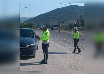 Edirne’de çiftlik yangını: Tavuklar ve arılar telef oldu