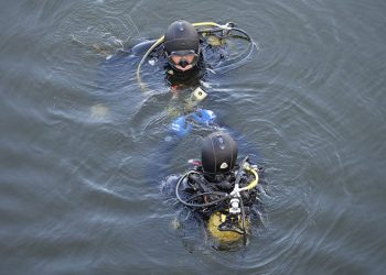 Edirne’de çiftlik yangını: Tavuklar ve arılar telef oldu