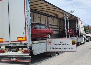 Uyuşturucu tacirleri ‘Mia’nın burnuna takıldı