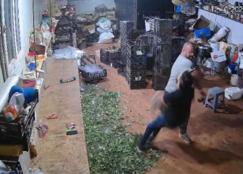 Edirne’de çiftlik yangını: Tavuklar ve arılar telef oldu