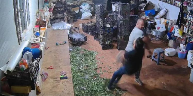 Edirne’de çiftlik yangını: Tavuklar ve arılar telef oldu