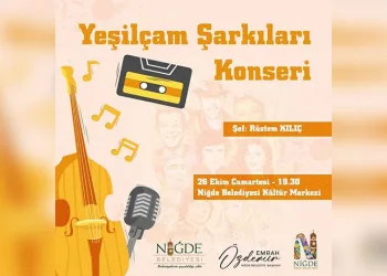 Erzincan’da araç sayısı 75 bin 803 oldu