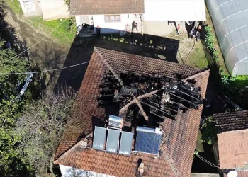 Çiftçinin zeytinine jandarma koruması