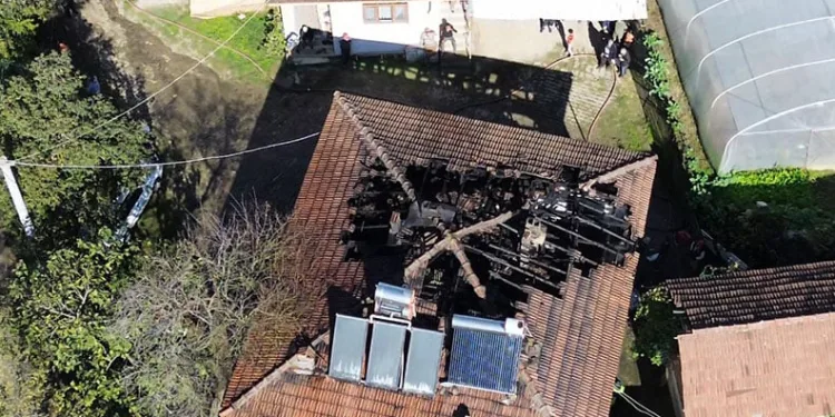 Çiftçinin zeytinine jandarma koruması