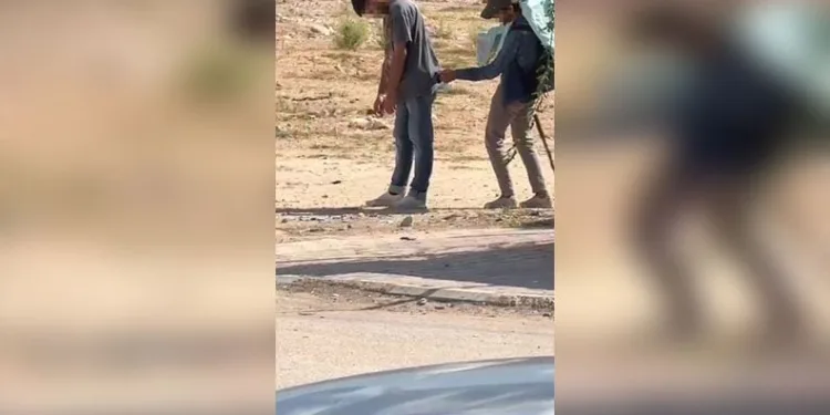 Vali yardımcısının oğlunun katil zanlısı dolandırıcılık çetesinin üyesi çıktı