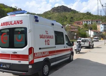 Otomobil ve motosiklet çalan hırsız Viranşehir’de yakalandı