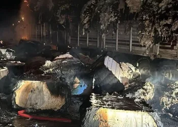 Uyuşturucu tacirleri ‘Mia’nın burnuna takıldı