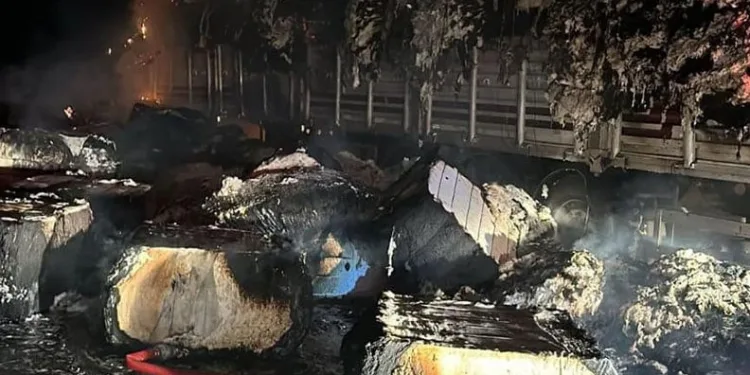 Uyuşturucu tacirleri ‘Mia’nın burnuna takıldı