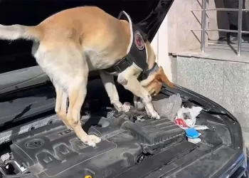 Otomobil ile motosiklet çarpıştı: 1 yaralı