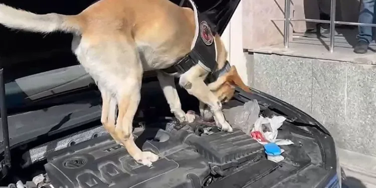 Otomobil ile motosiklet çarpıştı: 1 yaralı