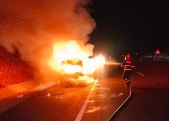 Otomobil ve motosiklet çalan hırsız Viranşehir’de yakalandı