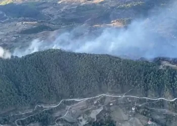 Mersin Bozyazı’da orman yangını büyümeden söndürüldü