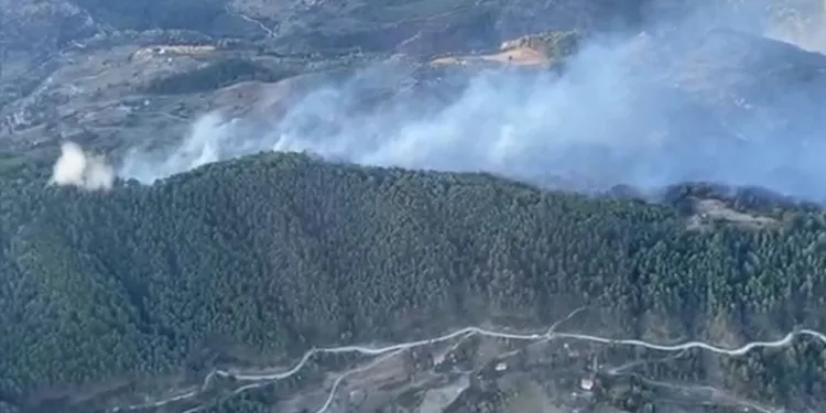 Mersin Bozyazı’da orman yangını büyümeden söndürüldü