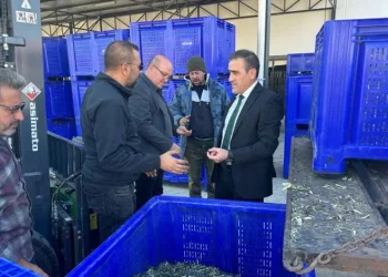 Şehit ailelerinin Adli Tıp Kurumu’nda bekleyişi