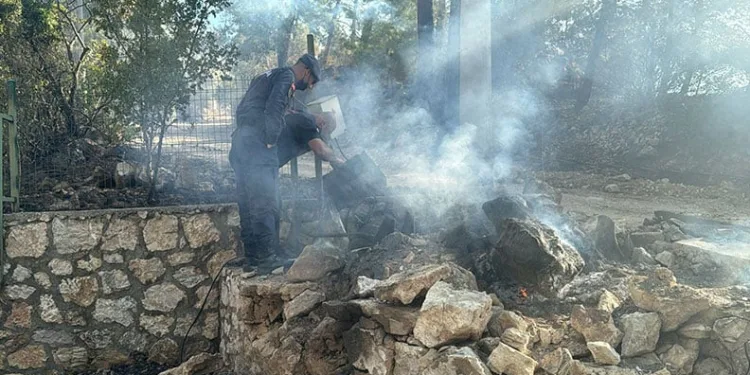 Otomobil ve motosiklet çalan hırsız Viranşehir’de yakalandı