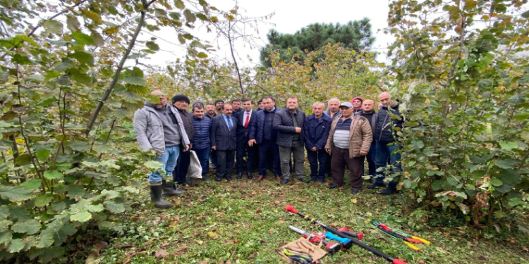 Fındık verimini artıracak eğitim